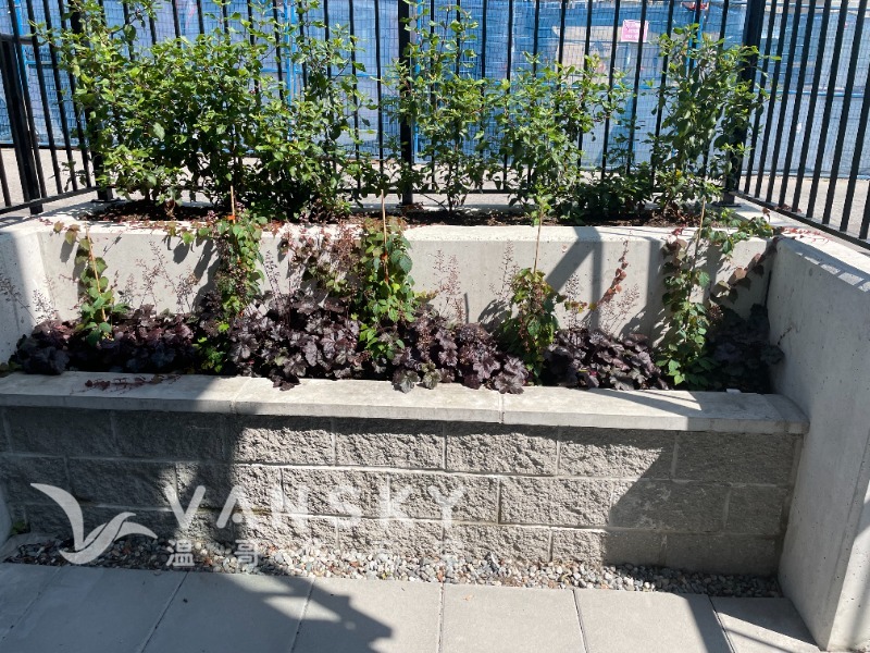 250124121435_WeChat Image_20250124115148.jpg